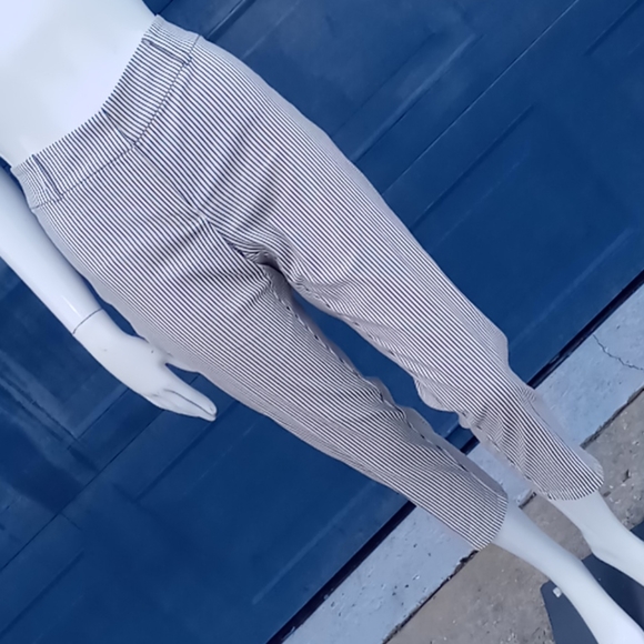Ann Taylor Signature Women's Capri's (Pin Stripes) - Picture 12 of 17